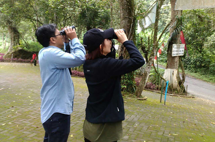 Fullday Birding in Malang, East Java