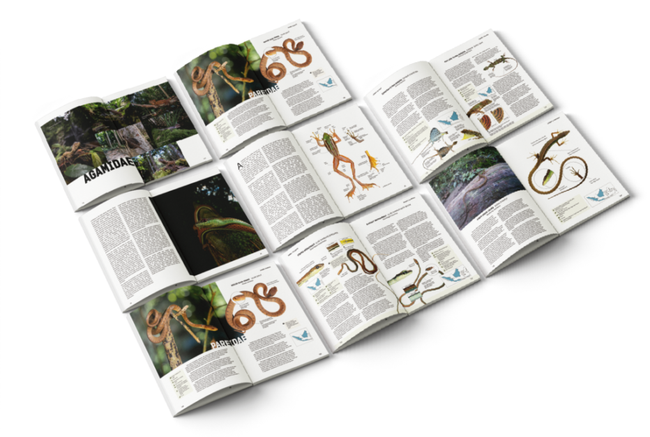 inner pages