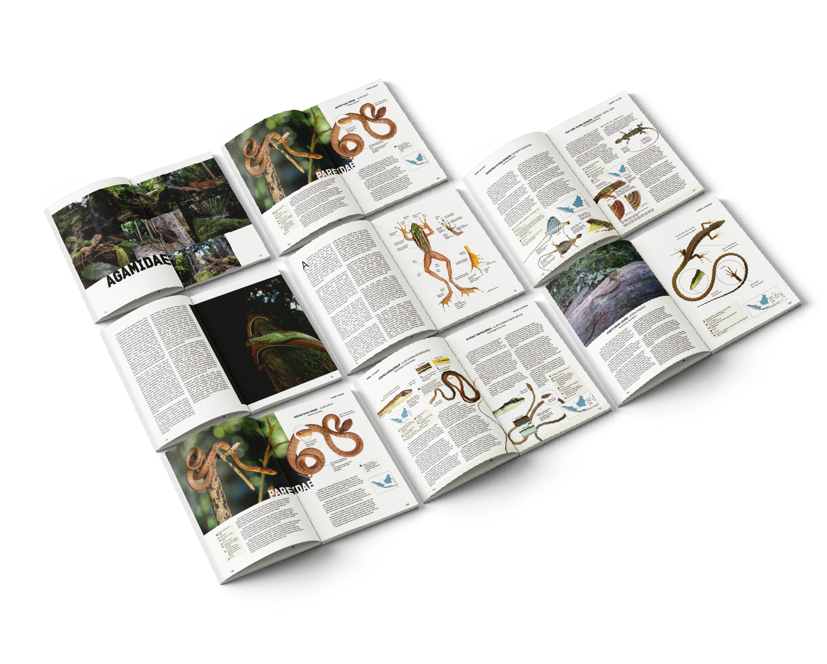 inner pages